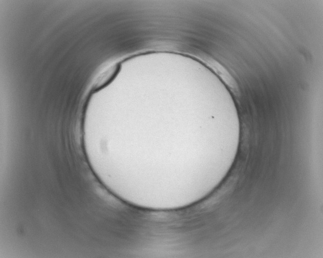 X0000115420904200911241345