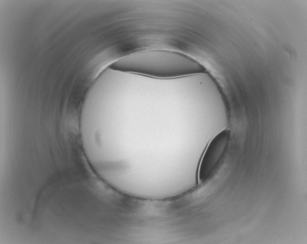 X0000115420905200911241345