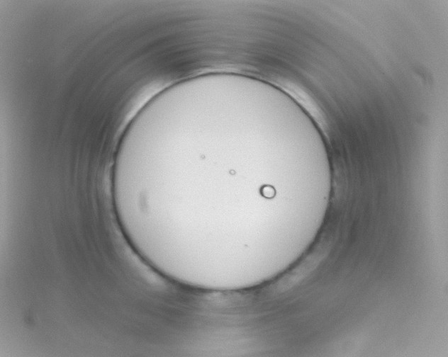 X0000115420906200911241345