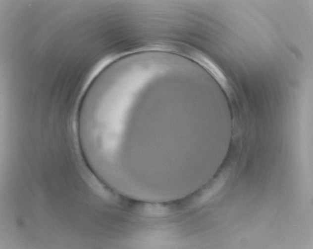 X0000115420907200911241345