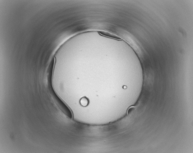 X0000115420908200911241345