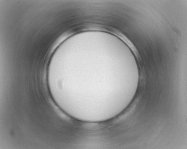 X0000115420909200911241345