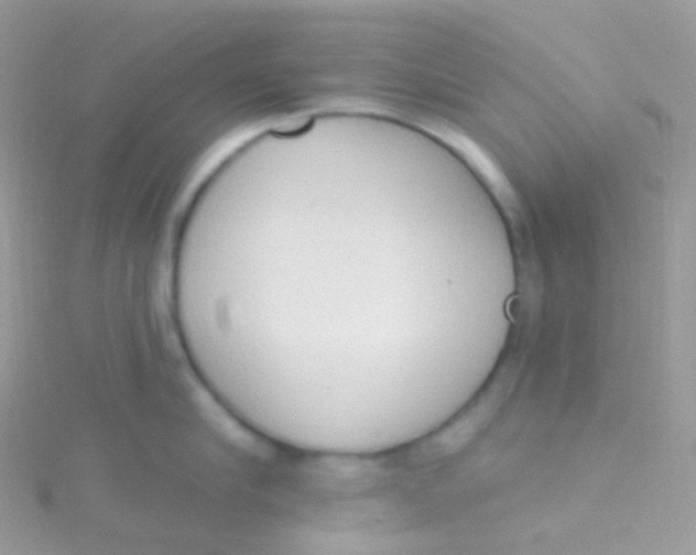 X0000115420910200911241345