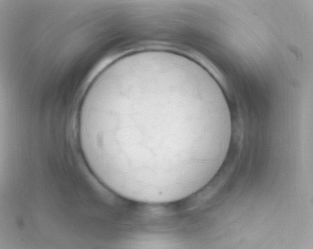 X0000115420911200911241345