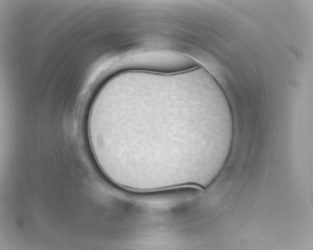 X0000115420912200911241345