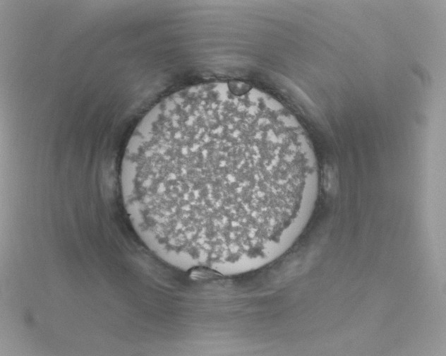 X0000115420915200911241345