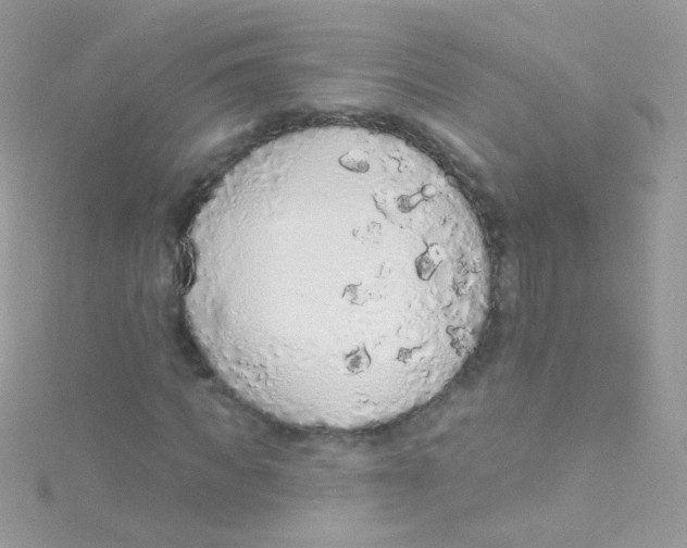 X0000115420917200911241345