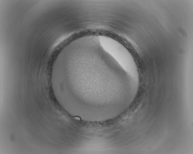 X0000115420919200911241345