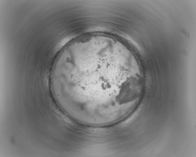 X0000115420921200911241345