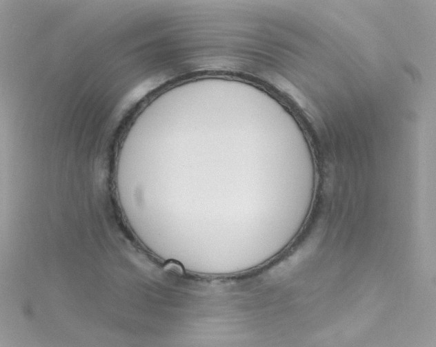 X0000115420922200911241345