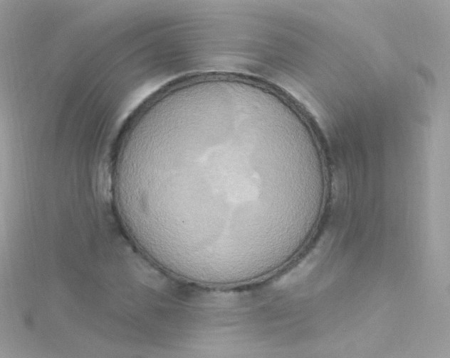 X0000115420925200911241345