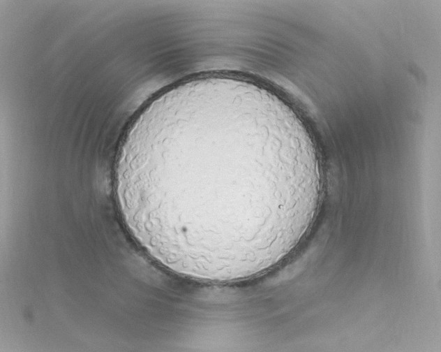 X0000115420929200911241345