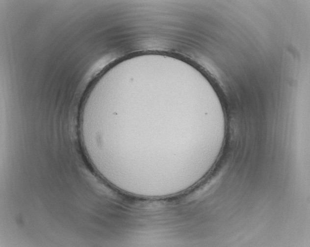 X0000115420930200911241345