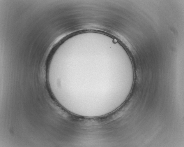 X0000115420931200911241345