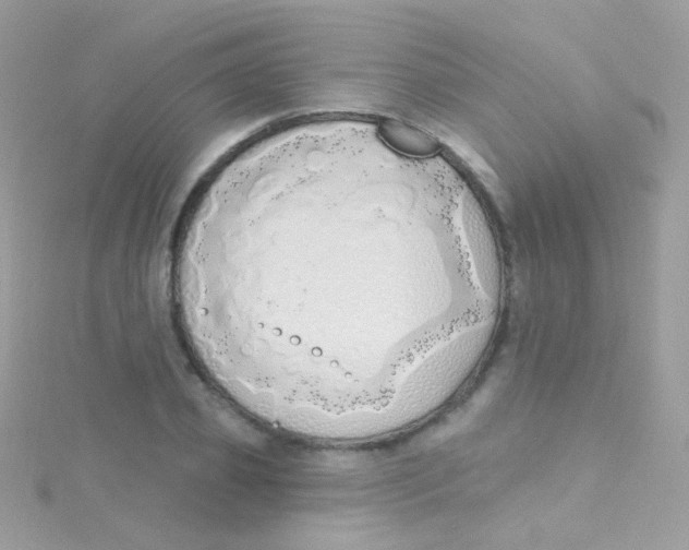 X0000115420933200911241345