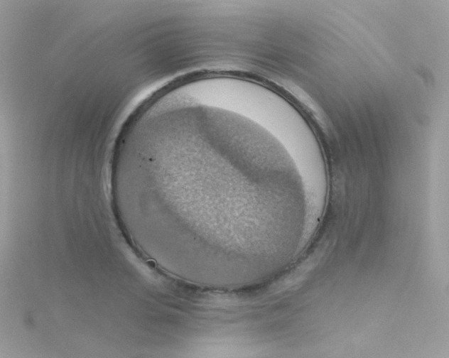 X0000115420935200911241345