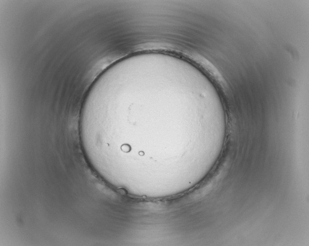 X0000115420937200911241345