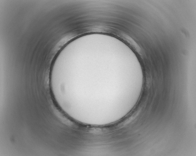 X0000115420938200911241345