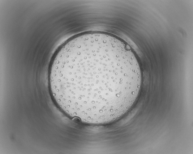 X0000115420939200911241345