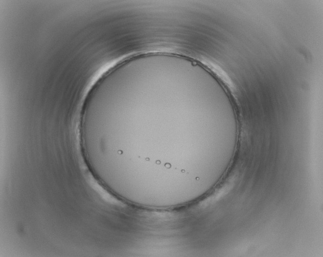 X0000115420941200911241345