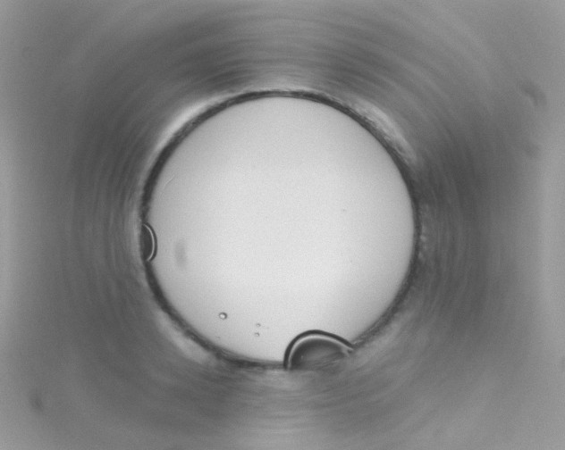 X0000115420942200911241345