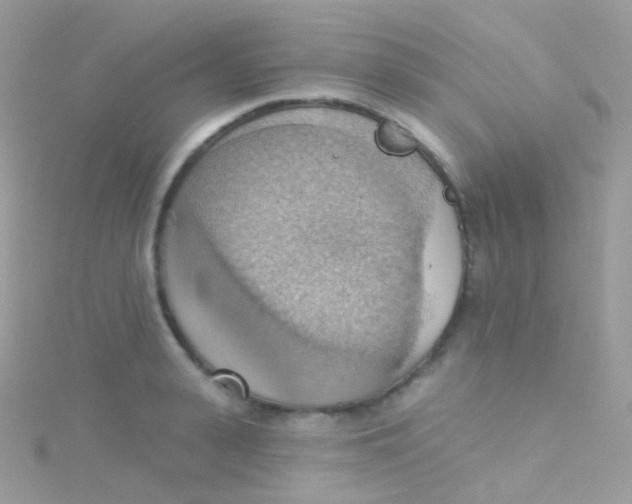 X0000115420943200911241345