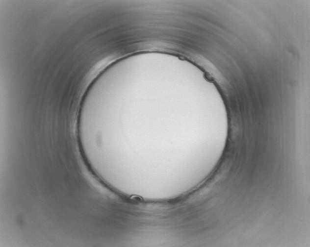 X0000115420946200911241345