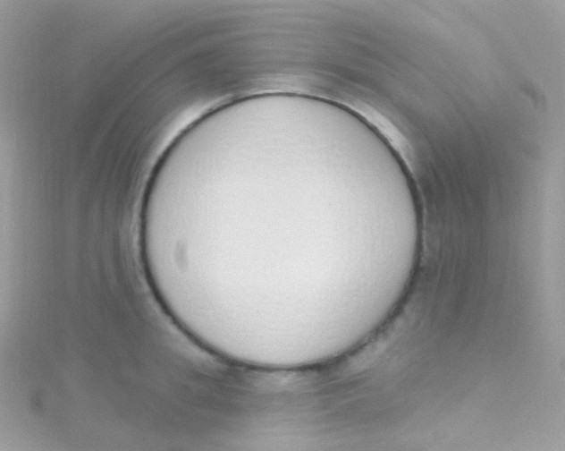 X0000115420949200911241345