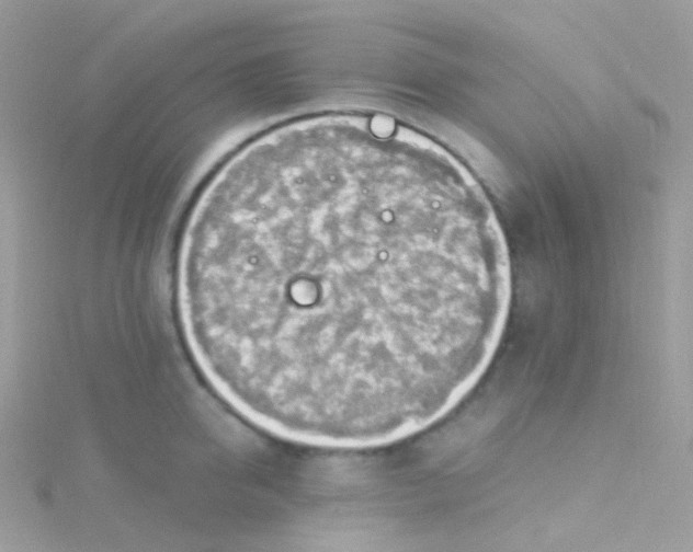 X0000115420950200911241345