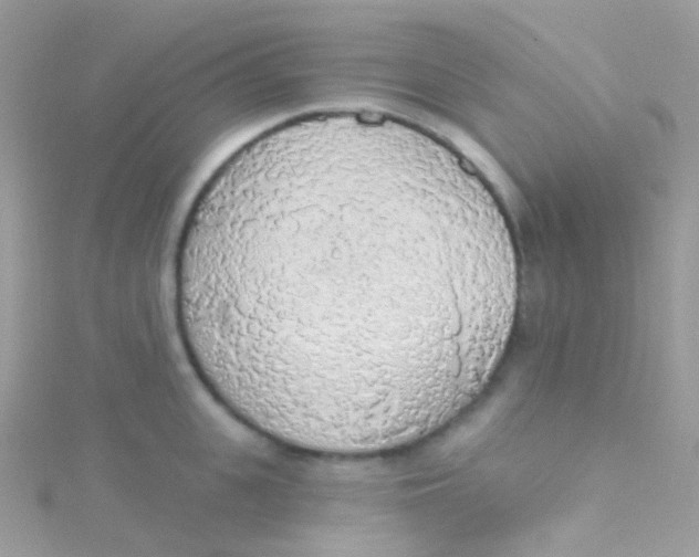 X0000115420951200911241345