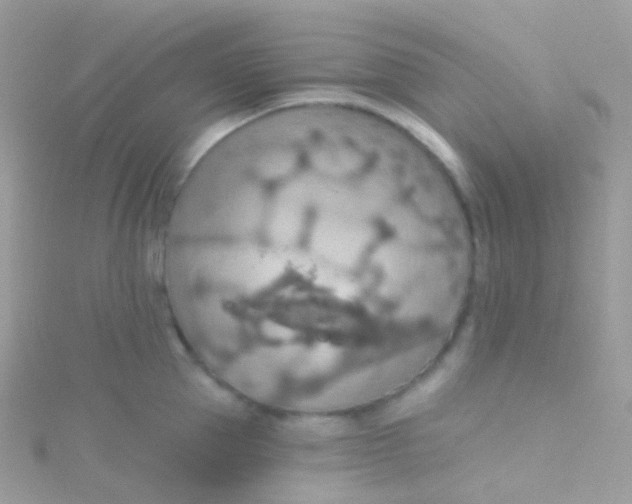 X0000115420953200911241345