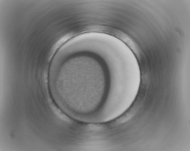 X0000115420954200911241345