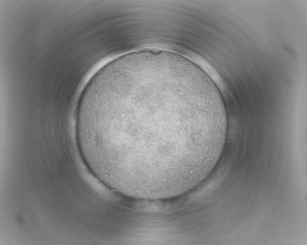 X0000115420955200911241345