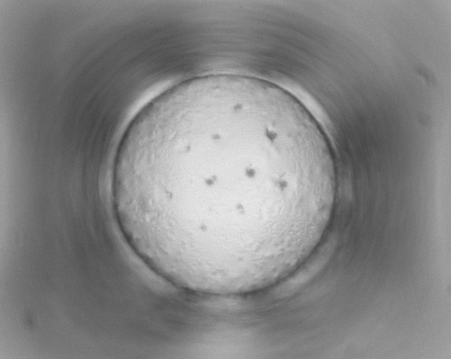 X0000115420957200911241345