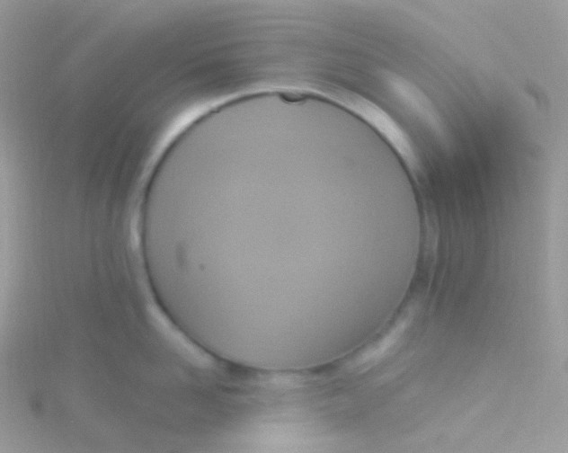 X0000115420958200911241345