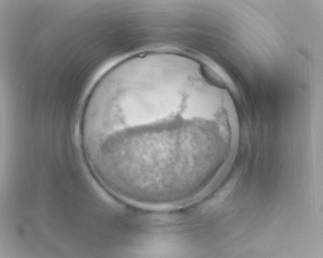 X0000115420959200911241345