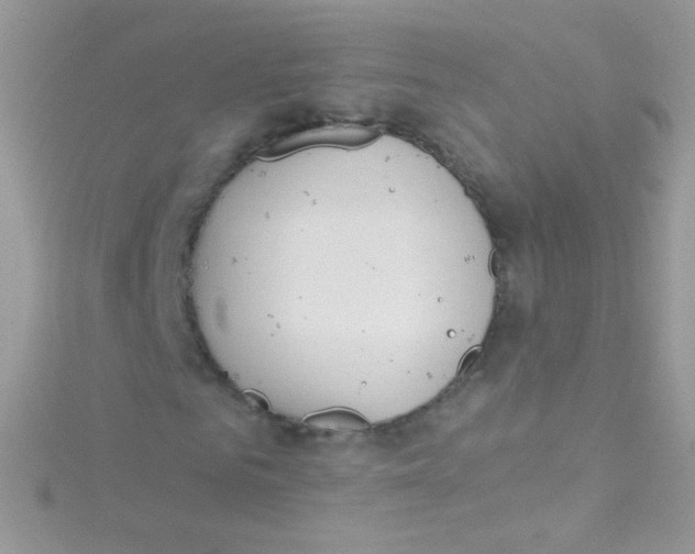 X0000115420961200911241345