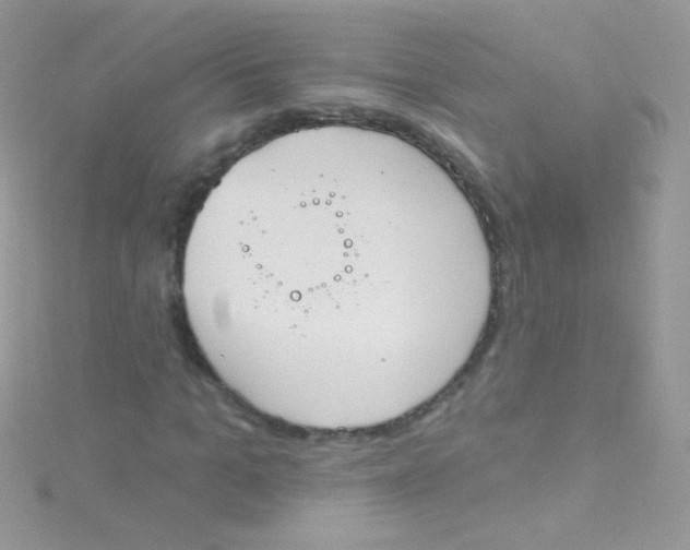 X0000115420965200911241345