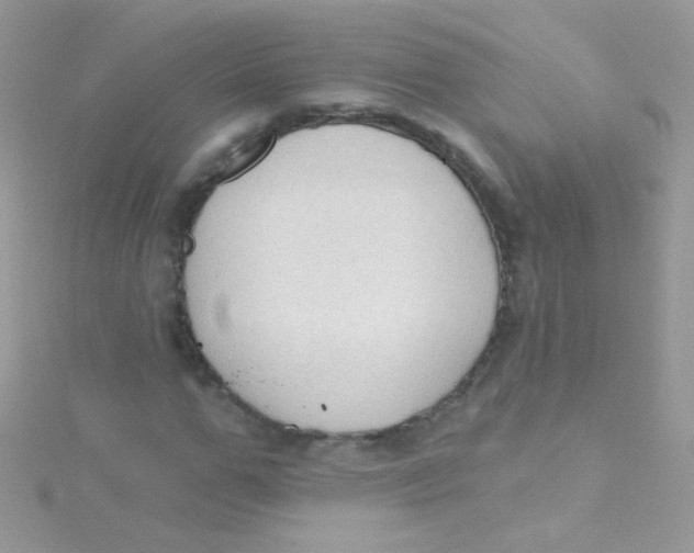 X0000115420967200911241345