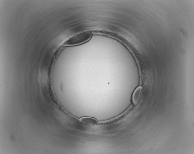 X0000115420969200911241345