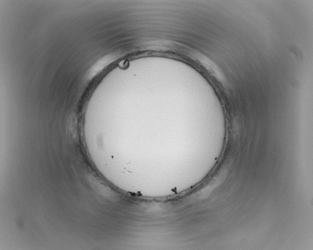 X0000115420970200911241345