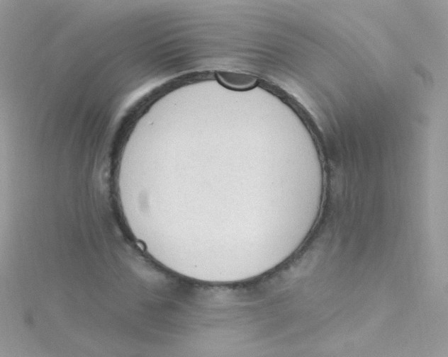 X0000115420971200911241345