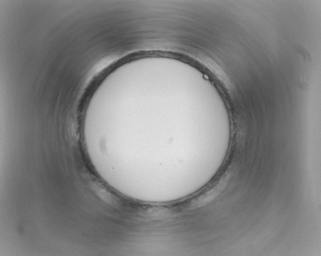 X0000115420974200911241345