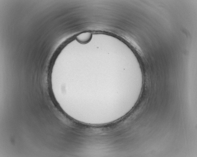 X0000115420976200911241345