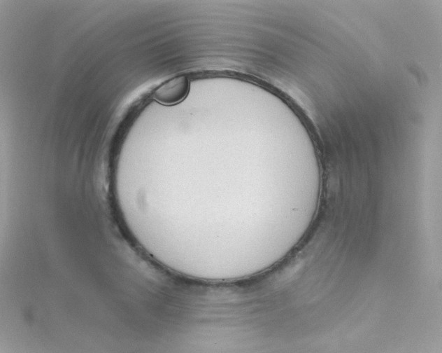 X0000115420979200911241344