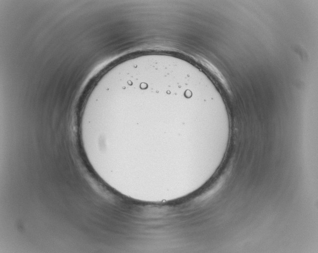 X0000115420981200911241344