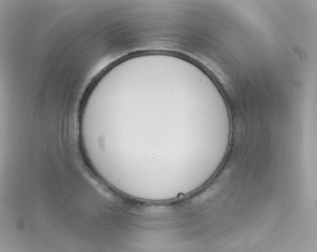 X0000115420982200911241344