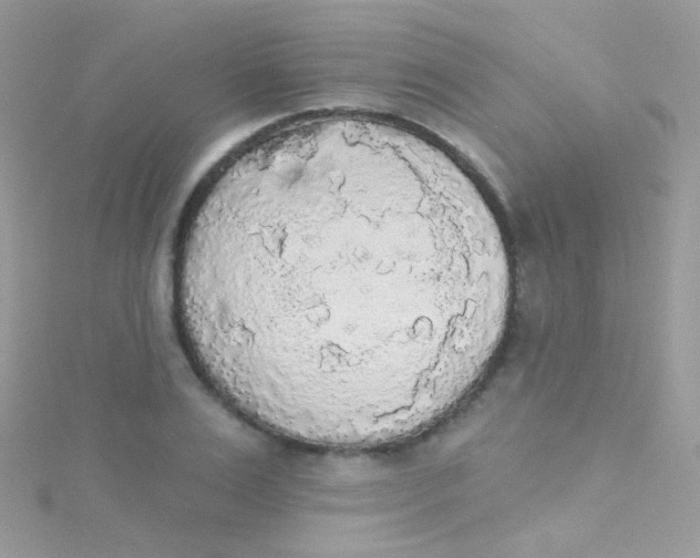 X0000115420983200911241344