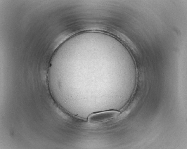 X0000115420985200911241344