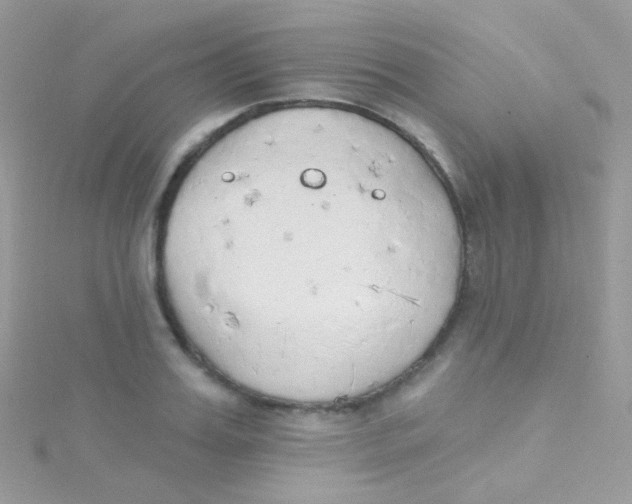 X0000115420987200911241344